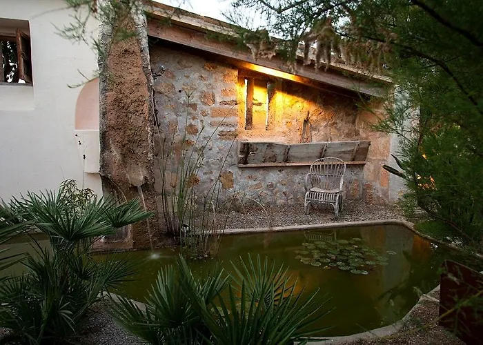 Cremat Puerto Pollensa